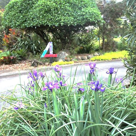 U Beauty - B & B Whangarei Exterior foto